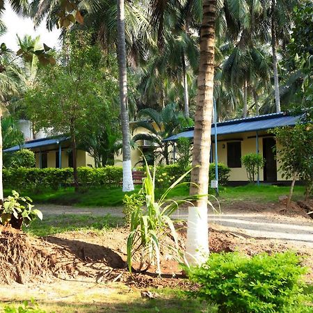 Royal Nature Resort Pollāchi Екстериор снимка