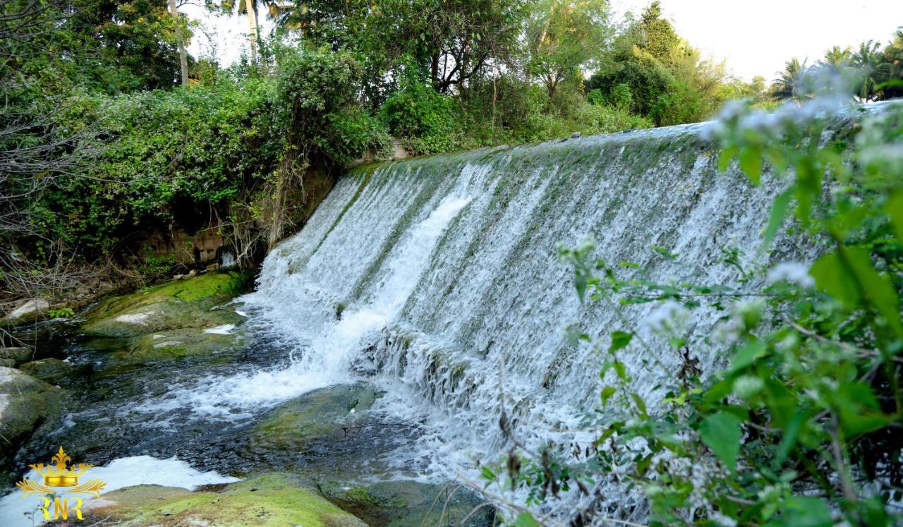 Royal Nature Resort Pollāchi Екстериор снимка